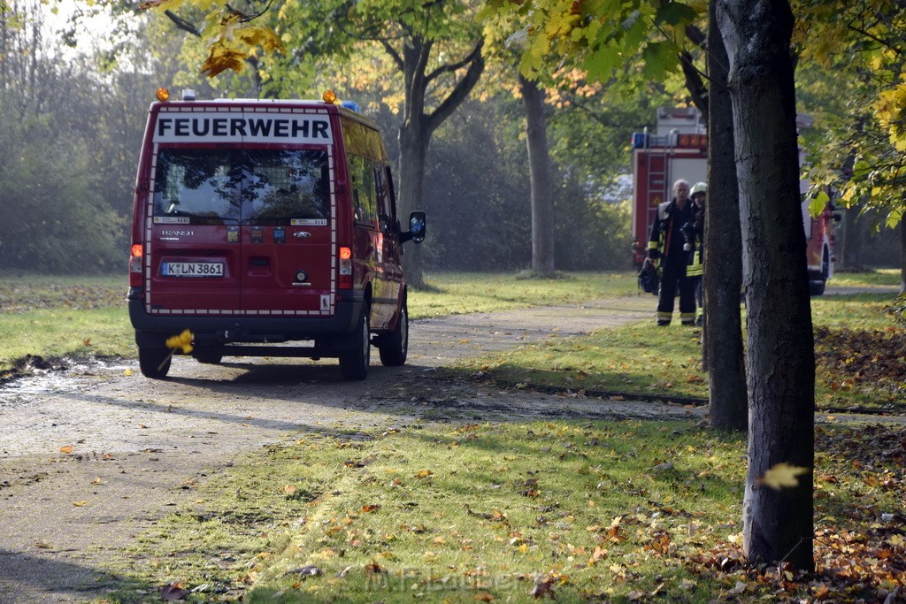 Feuer 1 brannten 3 Lauben Koeln Fuehlingen Kriegerhofstr P105.JPG - Miklos Laubert